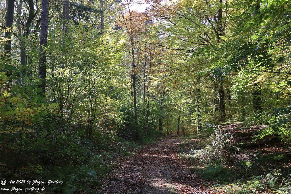 Philosophische Bildwanderung Hackenheim - Rheingrafenstein - Hackenheim - Rheinhessen - Nahe