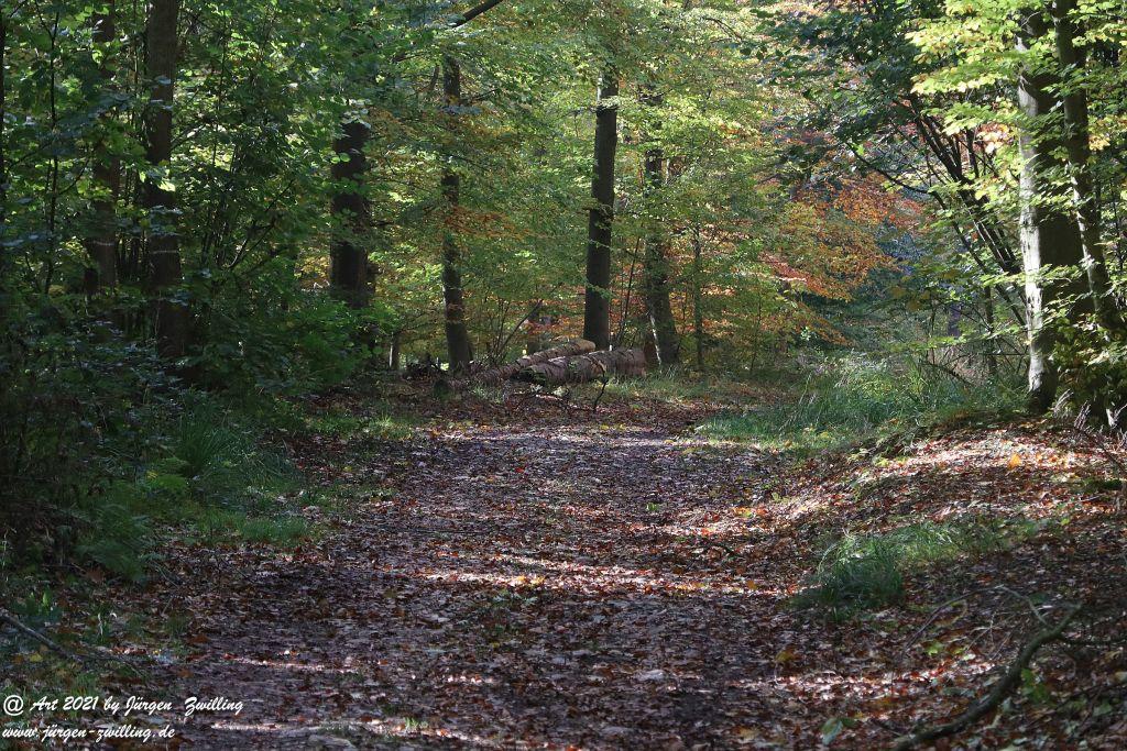 Philosophische Bildwanderung Hackenheim - Rheingrafenstein - Hackenheim - Rheinhessen - Nahe