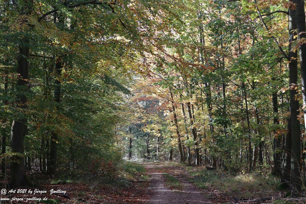 Philosophische Bildwanderung Hackenheim - Rheingrafenstein - Hackenheim - Rheinhessen - Nahe
