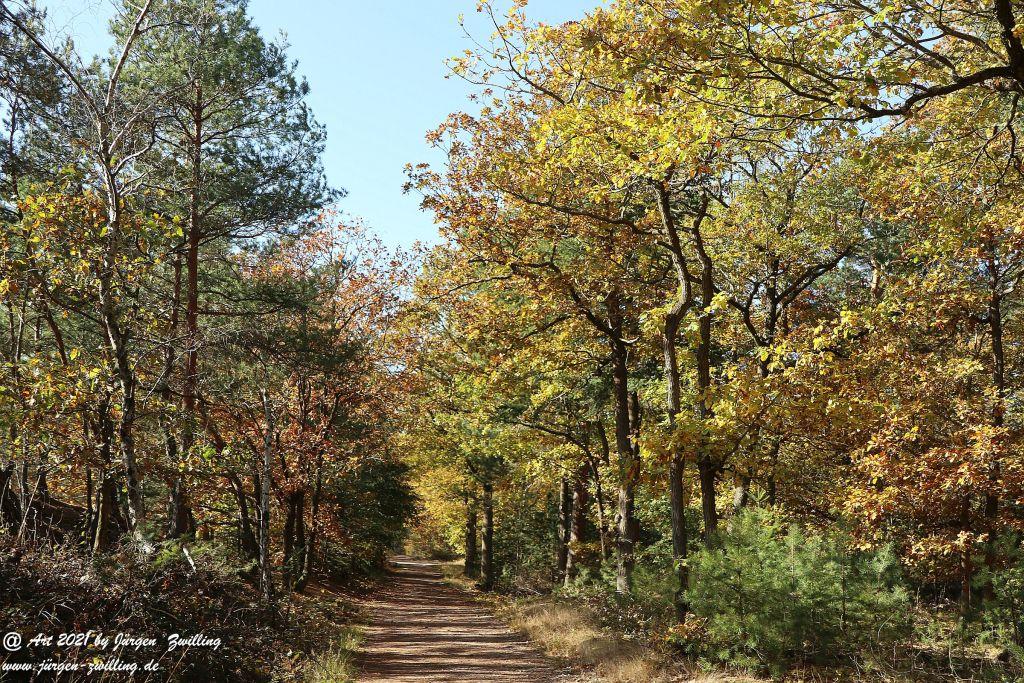 Philosophische Bildwanderung Hackenheim - Rheingrafenstein - Hackenheim - Rheinhessen - Nahe