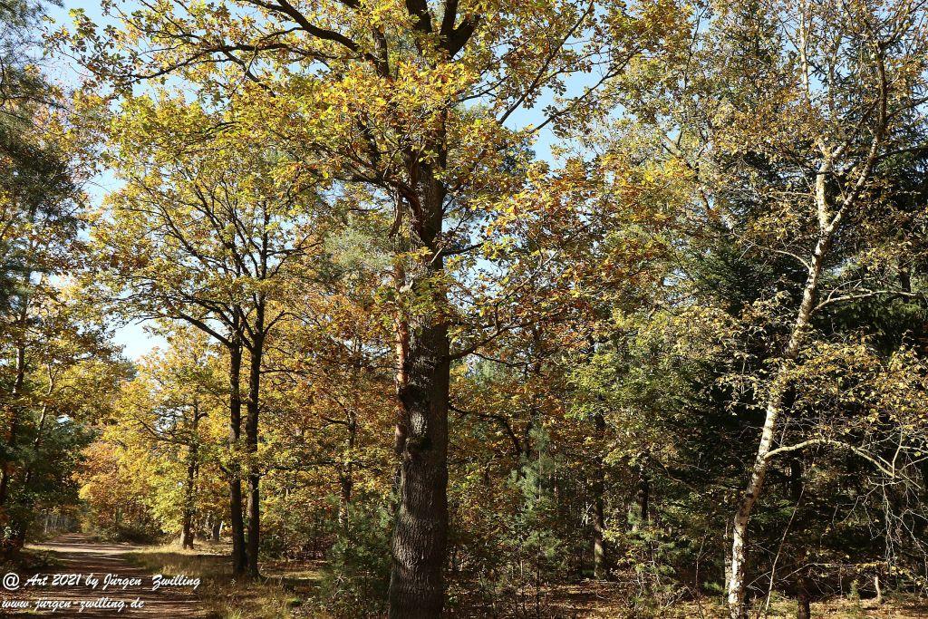 Philosophische Bildwanderung Hackenheim - Rheingrafenstein - Hackenheim - Rheinhessen - Nahe