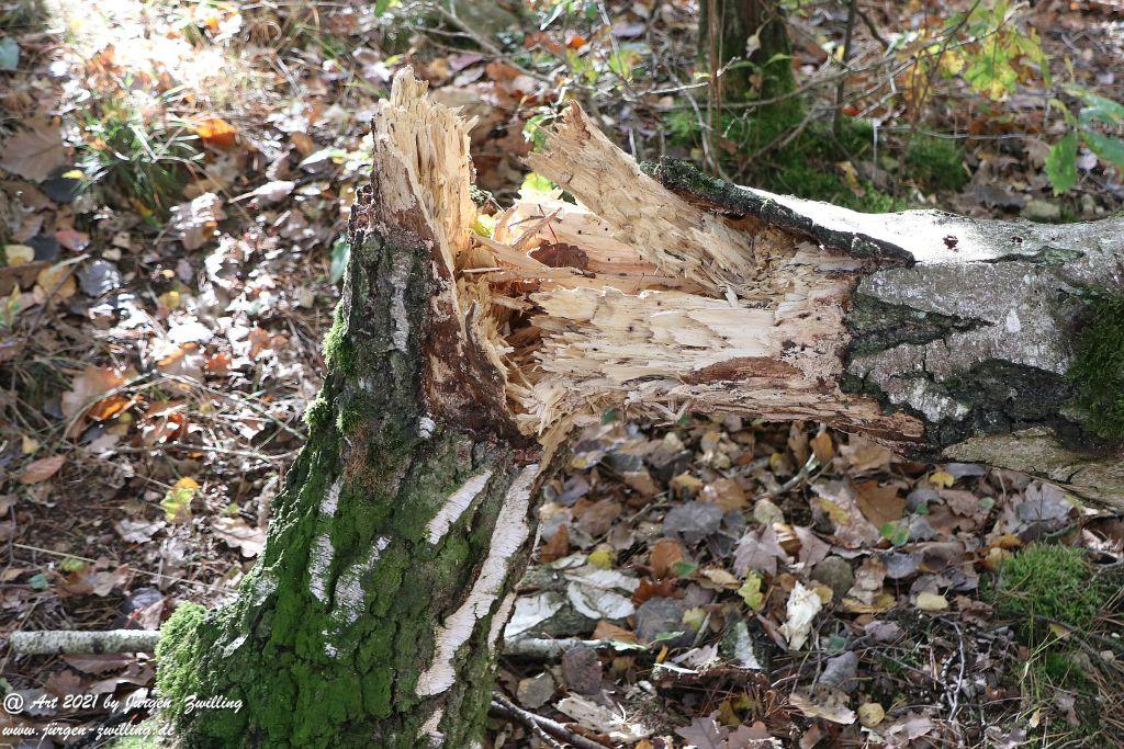 Philosophische Bildwanderung Hackenheim - Rheingrafenstein - Hackenheim - Rheinhessen - Nahe