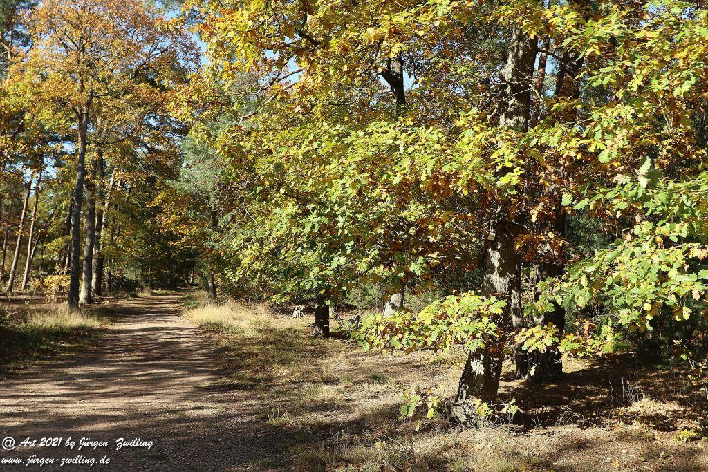Philosophische Bildwanderung Hackenheim - Rheingrafenstein - Hackenheim - Rheinhessen - Nahe