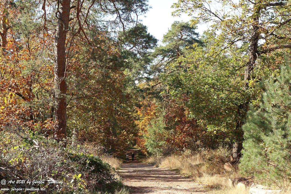 Philosophische Bildwanderung Hackenheim - Rheingrafenstein - Hackenheim - Rheinhessen - Nahe