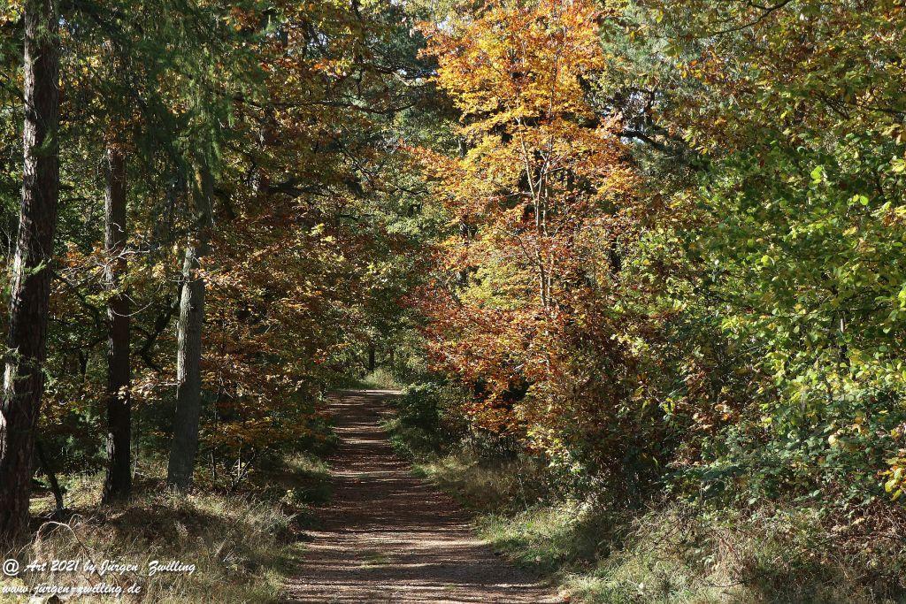 Philosophische Bildwanderung Hackenheim - Rheingrafenstein - Hackenheim - Rheinhessen - Nahe