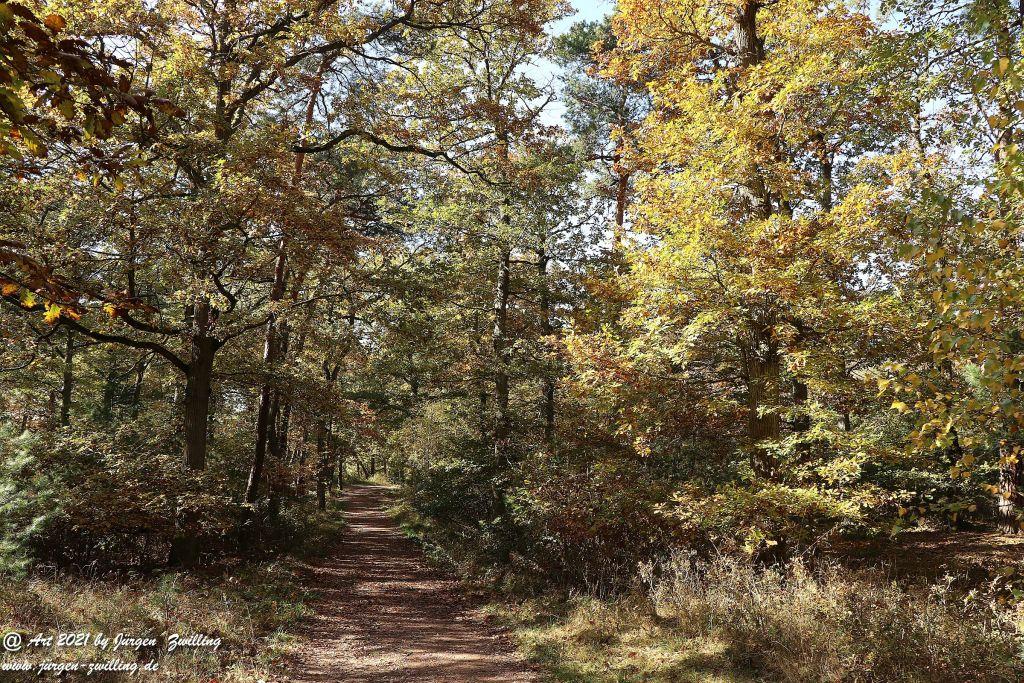 Philosophische Bildwanderung Hackenheim  - Rheingrafenstein - Hackenheim - Rheinhessen - Nahe