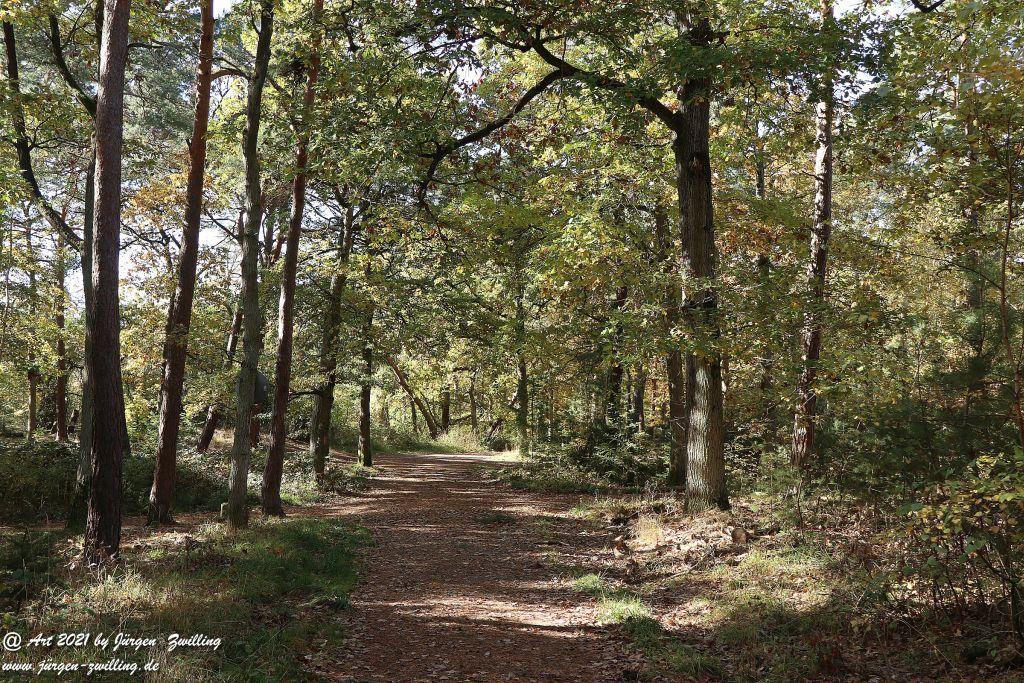 Philosophische Bildwanderung Hackenheim - Rheingrafenstein - Hackenheim - Rheinhessen - Nahe