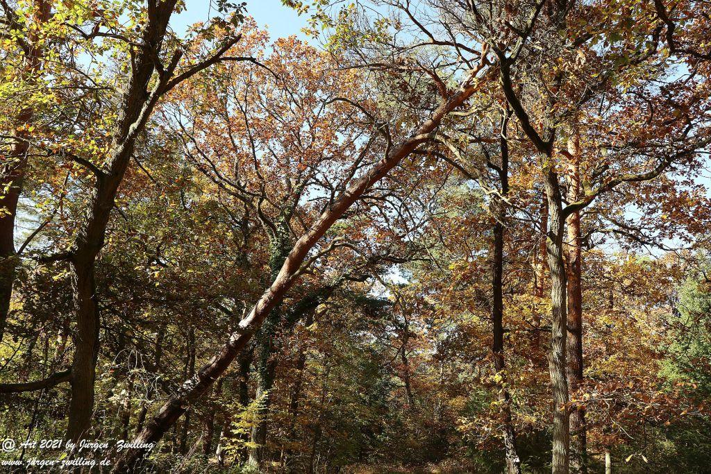 Philosophische Bildwanderung Hackenheim - Rheingrafenstein - Hackenheim - Rheinhessen - Nahe