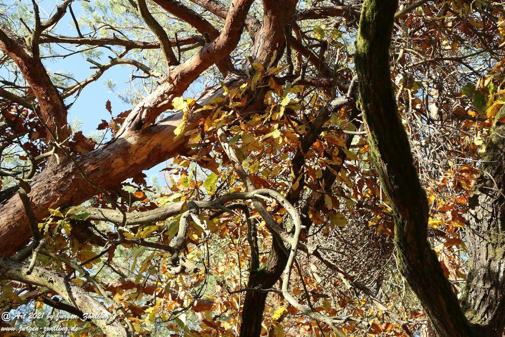 Philosophische Bildwanderung Hackenheim - Rheingrafenstein - Hackenheim - Rheinhessen - Nahe