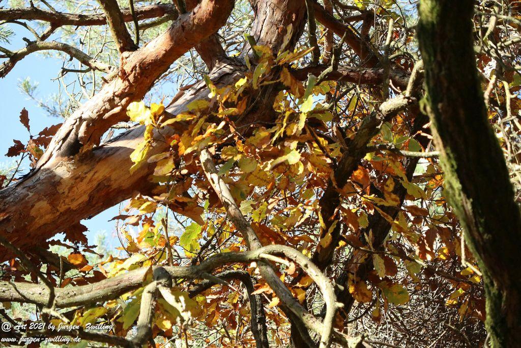 Philosophische Bildwanderung Hackenheim - Rheingrafenstein - Hackenheim - Rheinhessen - Nahe