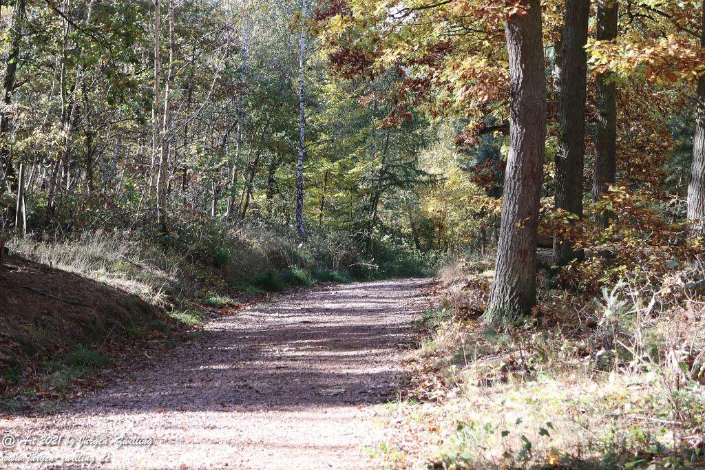 Philosophische Bildwanderung Hackenheim - Rheingrafenstein - Hackenheim - Rheinhessen - Nahe