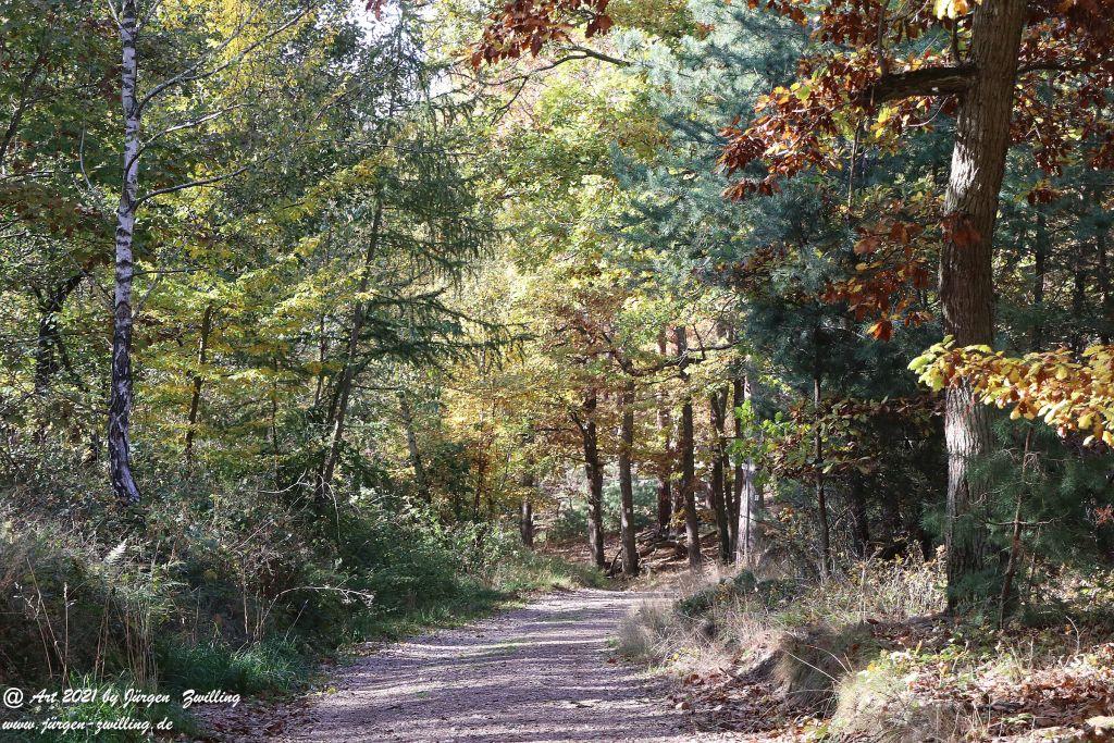 Philosophische Bildwanderung Hackenheim - Rheingrafenstein - Hackenheim - Rheinhessen - Nahe