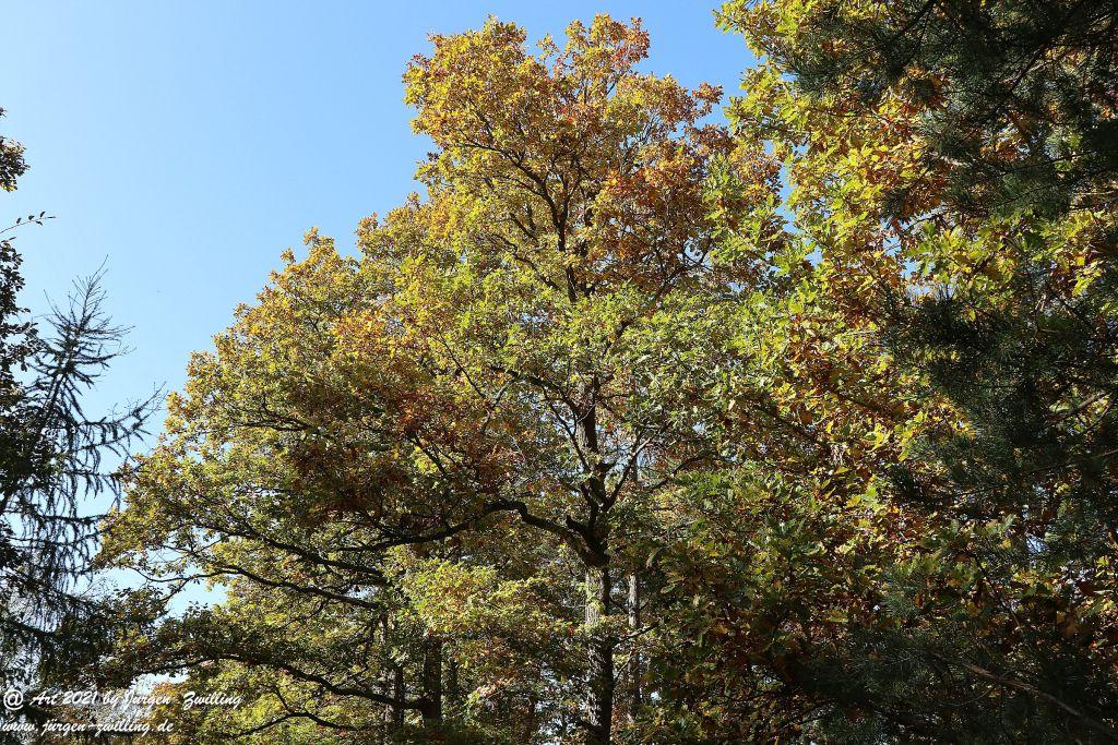 Philosophische Bildwanderung Hackenheim - Rheingrafenstein - Hackenheim - Rheinhessen - Nahe