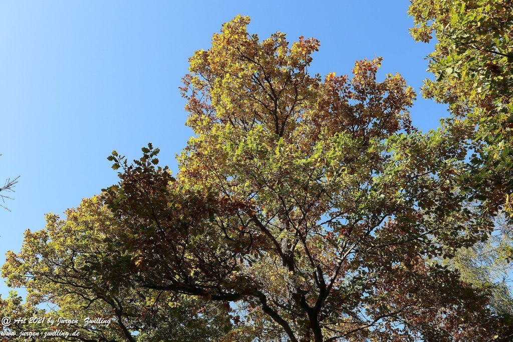 Philosophische Bildwanderung Hackenheim - Rheingrafenstein - Hackenheim - Rheinhessen - Nahe