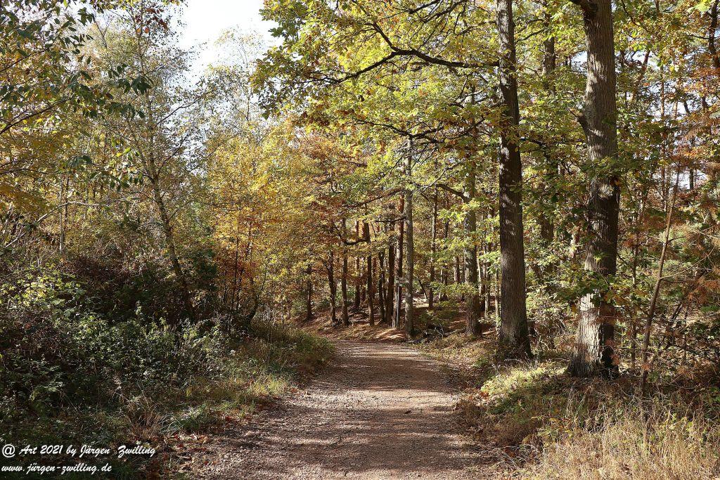 Philosophische Bildwanderung Hackenheim - Rheingrafenstein - Hackenheim - Rheinhessen - Nahe