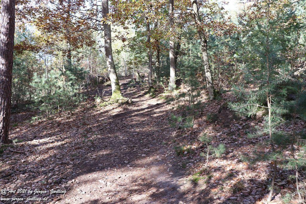 Philosophische Bildwanderung Hackenheim - Rheingrafenstein - Hackenheim - Rheinhessen - Nahe