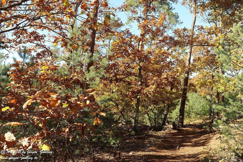 Philosophische Bildwanderung Hackenheim - Rheingrafenstein - Hackenheim - Rheinhessen - Nahe