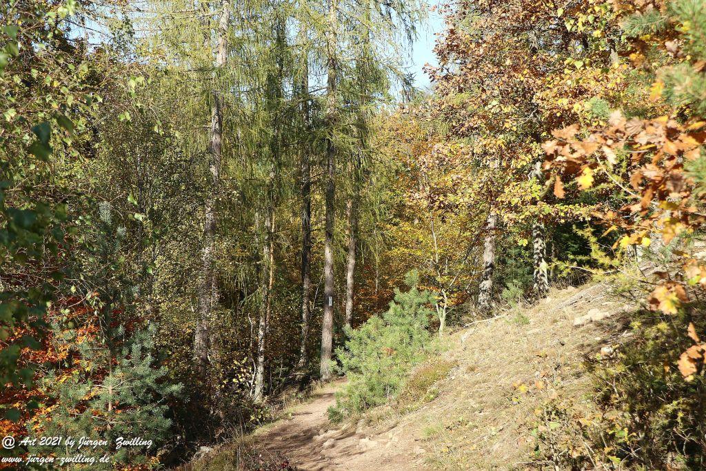 Philosophische Bildwanderung Hackenheim - Rheingrafenstein - Hackenheim - Rheinhessen - Nahe