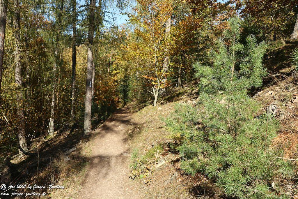 Philosophische Bildwanderung Hackenheim - Rheingrafenstein - Hackenheim - Rheinhessen - Nahe