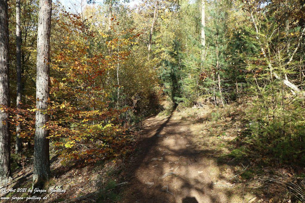 Philosophische Bildwanderung Hackenheim - Rheingrafenstein - Hackenheim - Rheinhessen - Nahe