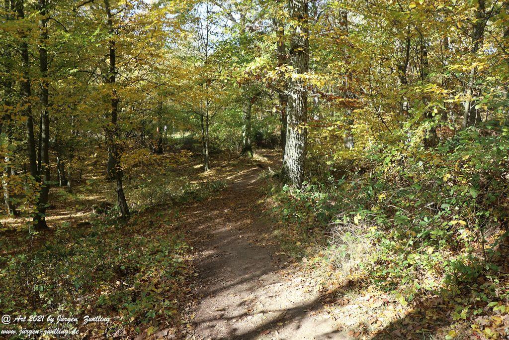 Philosophische Bildwanderung Hackenheim - Rheingrafenstein - Hackenheim - Rheinhessen - Nahe