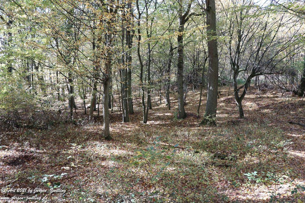 Philosophische Bildwanderung Hackenheim - Rheingrafenstein - Hackenheim - Rheinhessen - Nahe