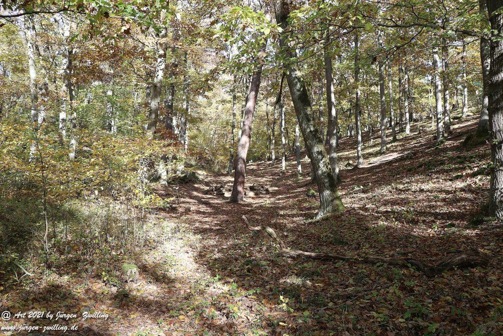 Philosophische Bildwanderung Hackenheim - Rheingrafenstein - Hackenheim - Rheinhessen - Nahe