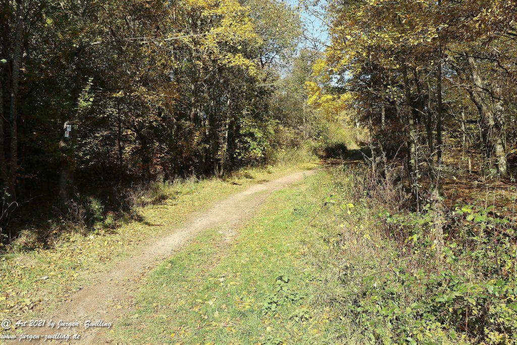 Philosophische Bildwanderung Hackenheim - Rheingrafenstein - Hackenheim - Rheinhessen - Nahe