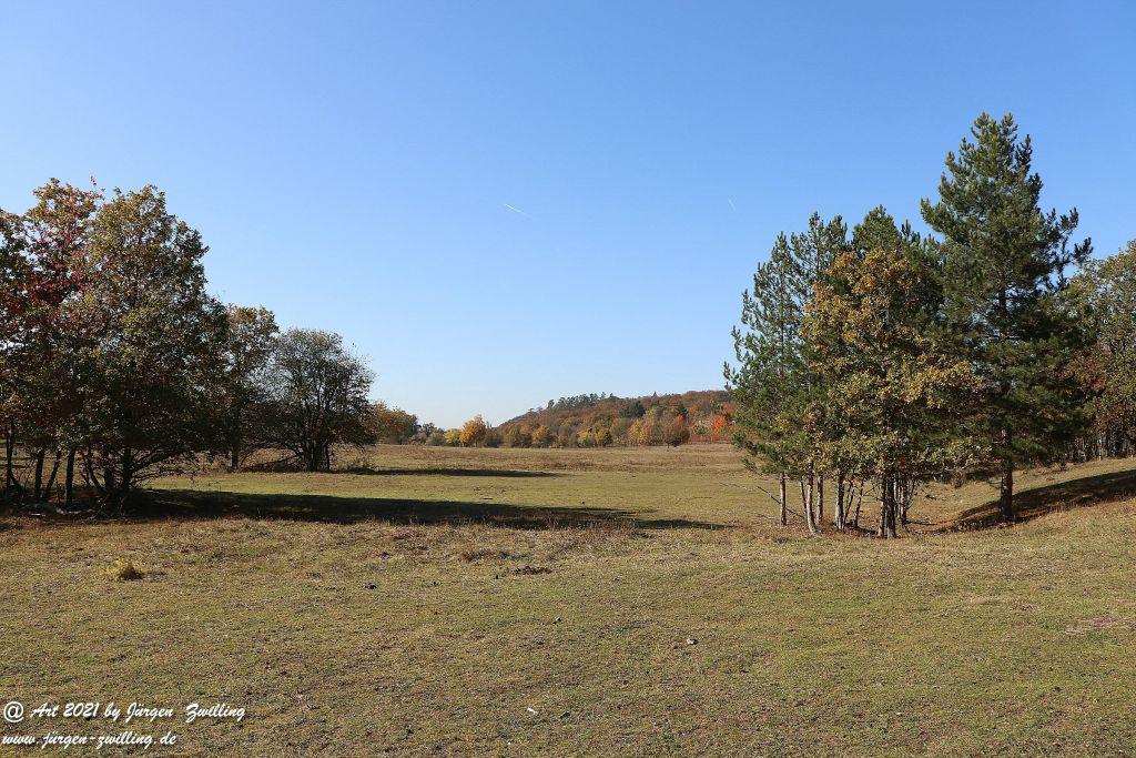 Philosophische Bildwanderung Hackenheim - Rheingrafenstein - Hackenheim - Rheinhessen - Nahe