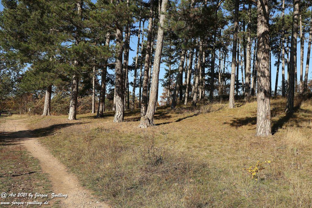 Philosophische Bildwanderung Hackenheim - Rheingrafenstein - Hackenheim - Rheinhessen - Nahe