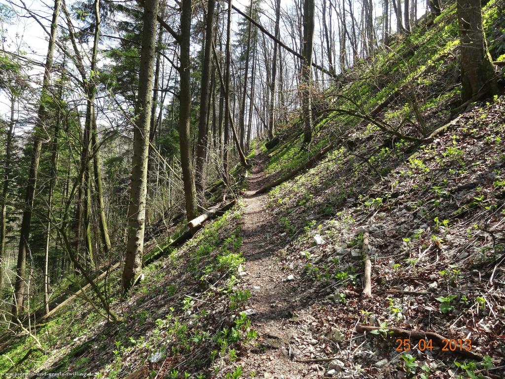 Philosophische Bildwanderung Traufgang-Felsenmeersteig