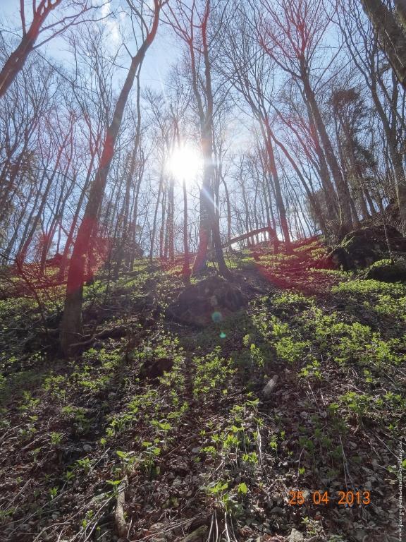 Philosophische Bildwanderung Traufgang-Felsenmeersteig