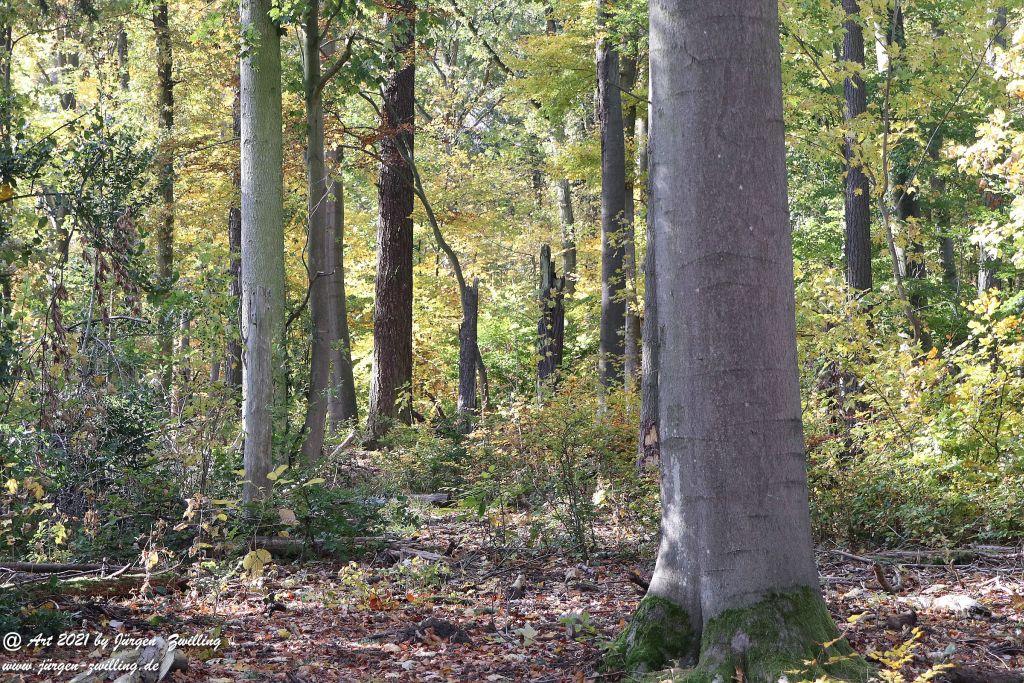 Philosophische Bildwanderung Hackenheim - Rheingrafenstein - Hackenheim - Rheinhessen - Nahe