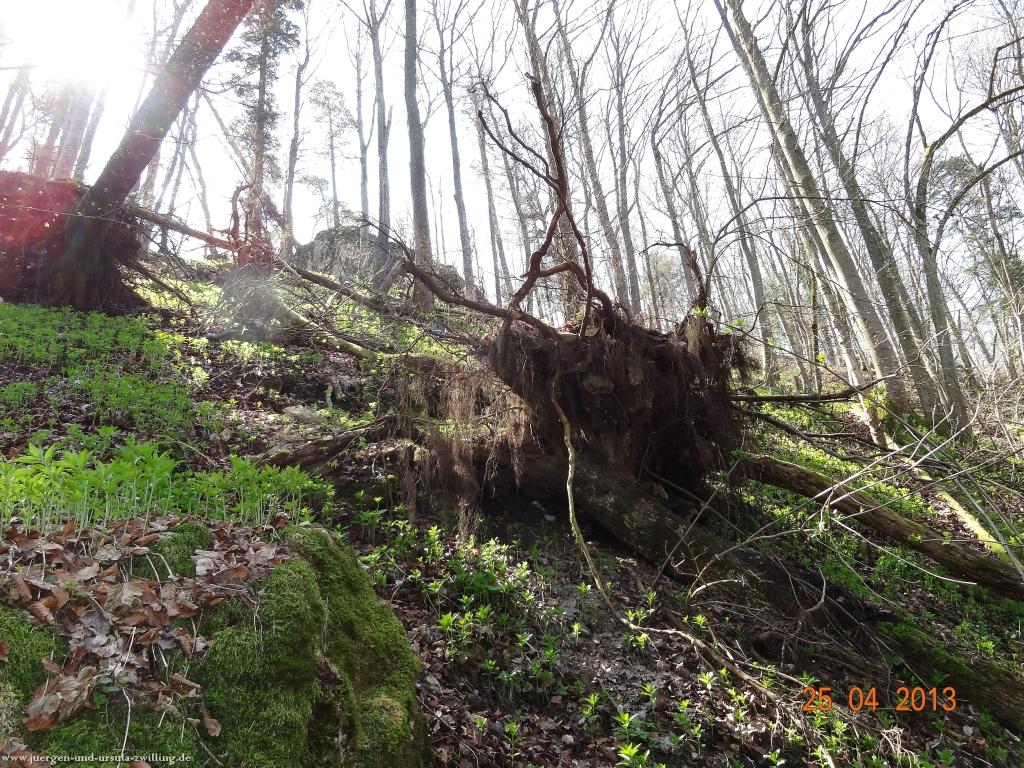 Philosophische Bildwanderung Traufgang-Felsenmeersteig