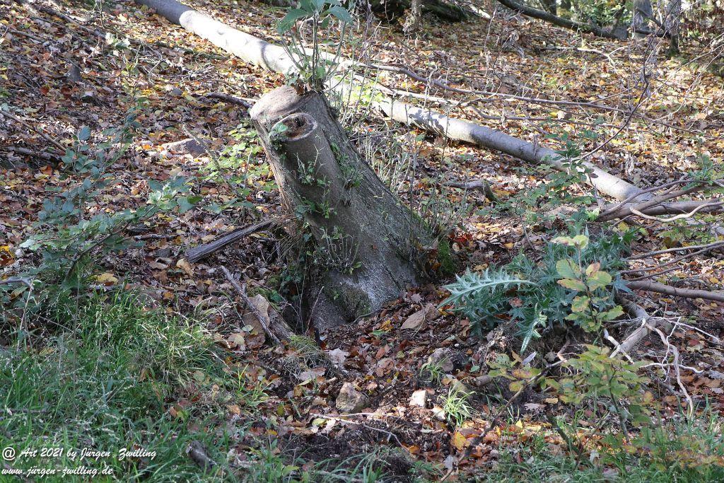 Philosophische Bildwanderung Hackenheim - Rheingrafenstein - Hackenheim - Rheinhessen - Nahe