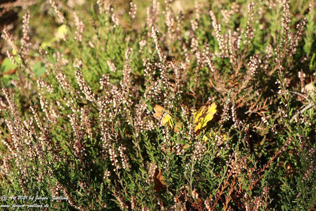 Philosophische Bildwanderung Hackenheim - Rheingrafenstein - Hackenheim - Rheinhessen - Nahe