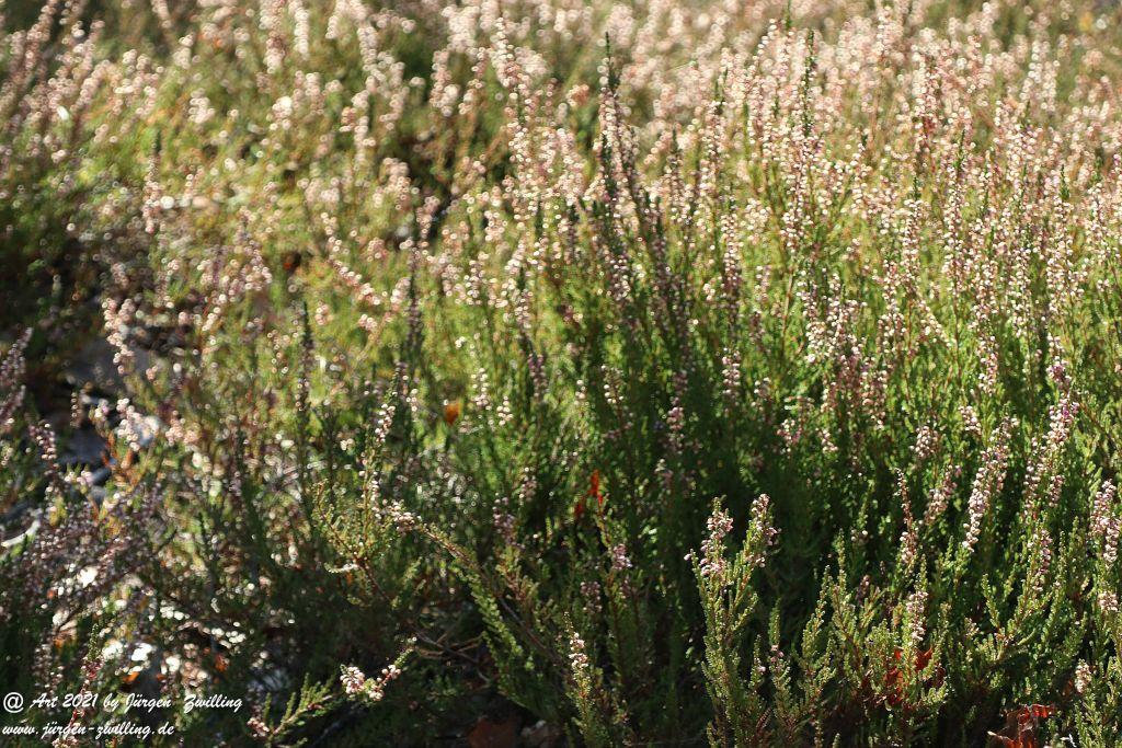 Philosophische Bildwanderung Hackenheim - Rheingrafenstein - Hackenheim - Rheinhessen - Nahe