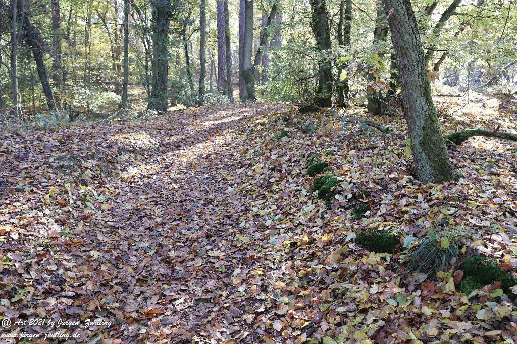Philosophische Bildwanderung Hackenheim - Rheingrafenstein - Hackenheim - Rheinhessen - Nahe