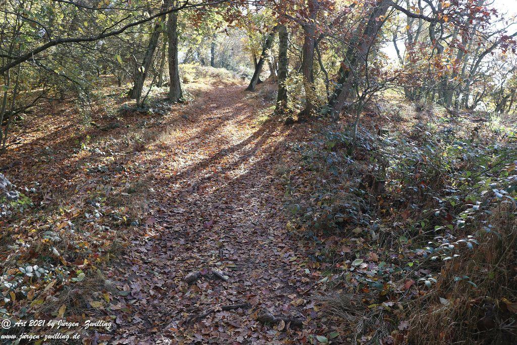 Philosophische Bildwanderung Hackenheim - Rheingrafenstein - Hackenheim - Rheinhessen - Nahe