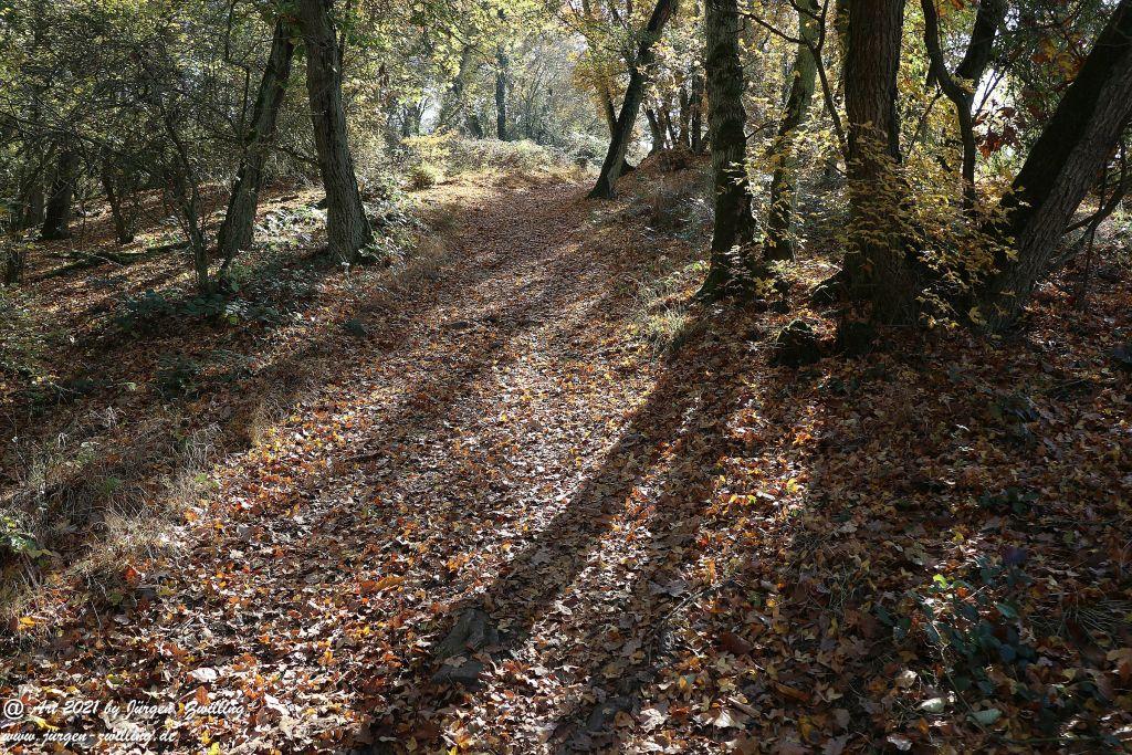 Philosophische Bildwanderung Hackenheim - Rheingrafenstein - Hackenheim - Rheinhessen - Nahe