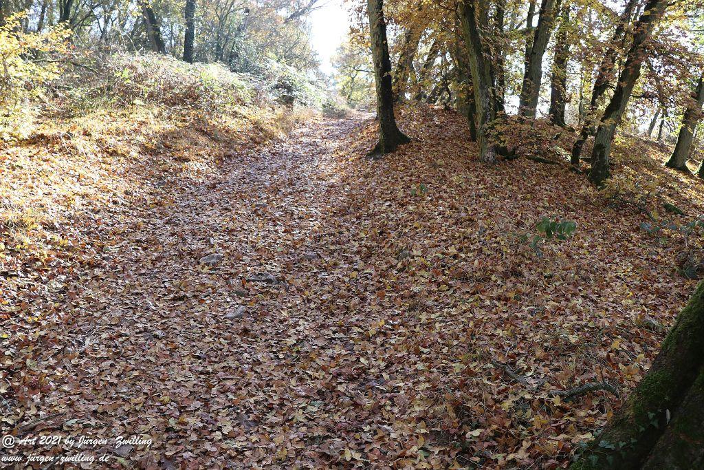 Philosophische Bildwanderung Hackenheim - Rheingrafenstein - Hackenheim - Rheinhessen - Nahe