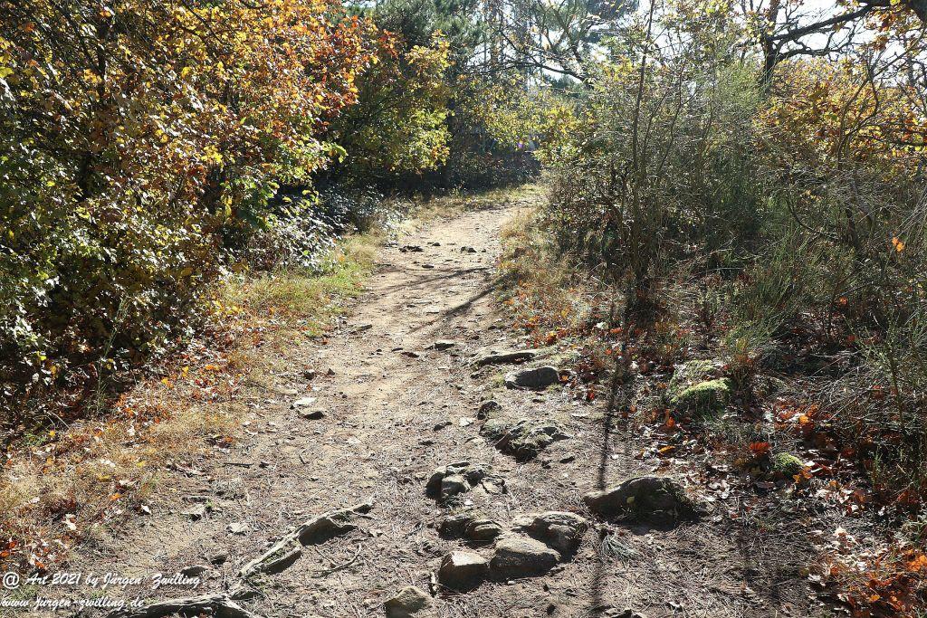 Philosophische Bildwanderung Hackenheim - Rheingrafenstein - Hackenheim - Rheinhessen - Nahe