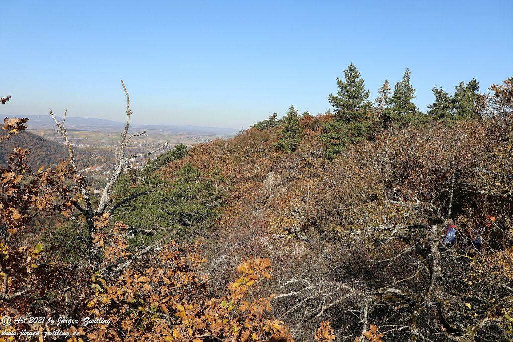 Philosophische Bildwanderung Hackenheim - Rheingrafenstein - Hackenheim - Rheinhessen - Nahe