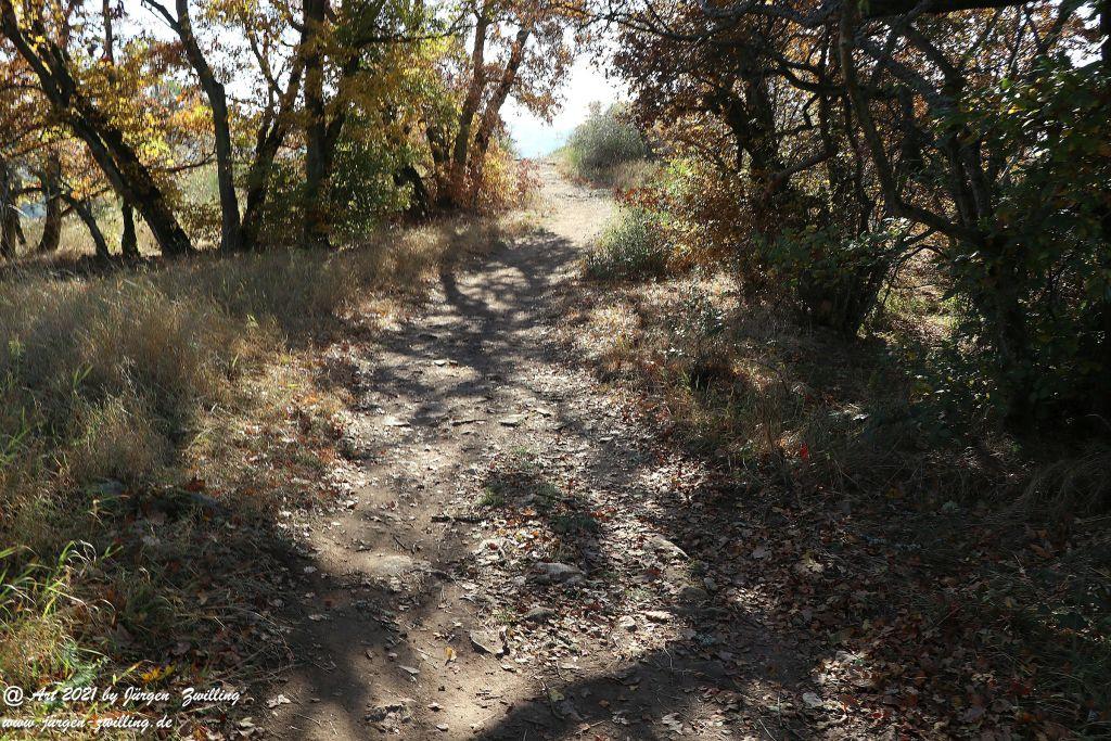 Philosophische Bildwanderung Hackenheim - Rheingrafenstein - Hackenheim - Rheinhessen - Nahe