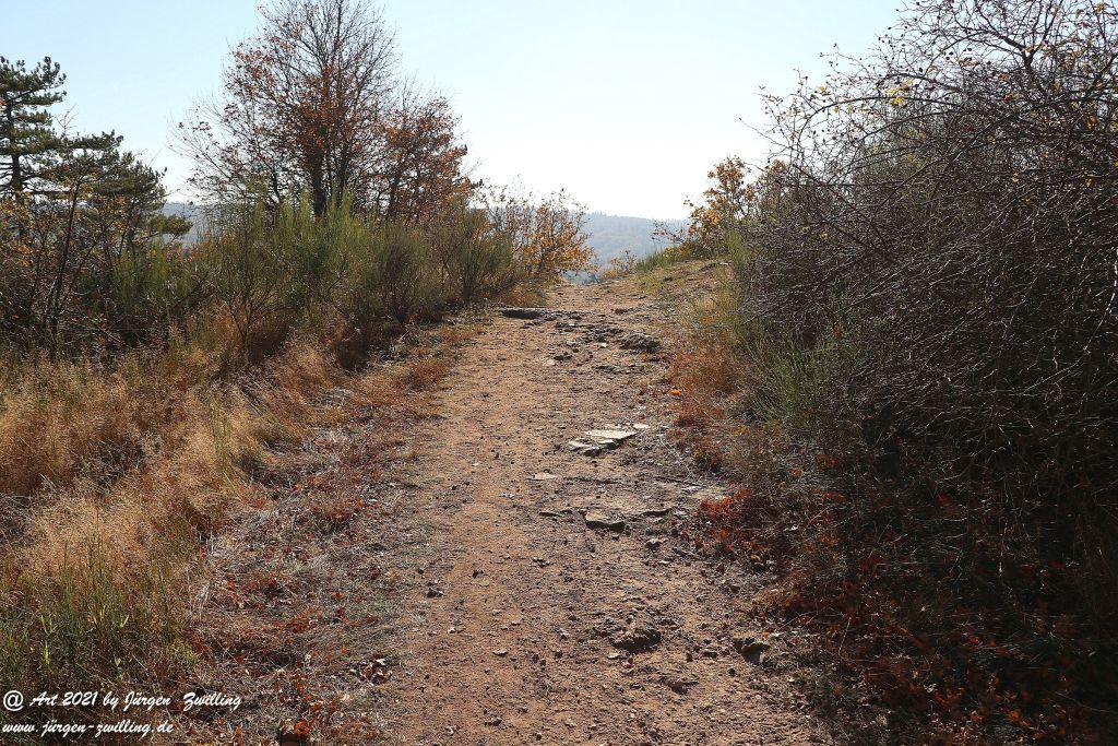 Philosophische Bildwanderung Hackenheim - Rheingrafenstein - Hackenheim - Rheinhessen - Nahe