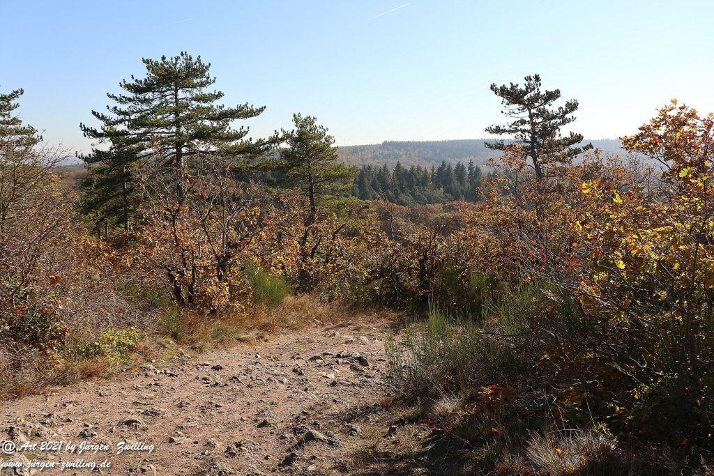 Philosophische Bildwanderung Hackenheim - Rheingrafenstein - Hackenheim - Rheinhessen - Nahe