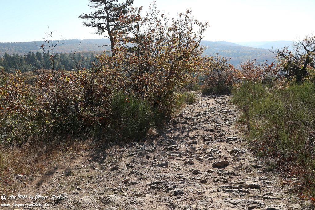 Philosophische Bildwanderung Hackenheim - Rheingrafenstein - Hackenheim - Rheinhessen - Nahe