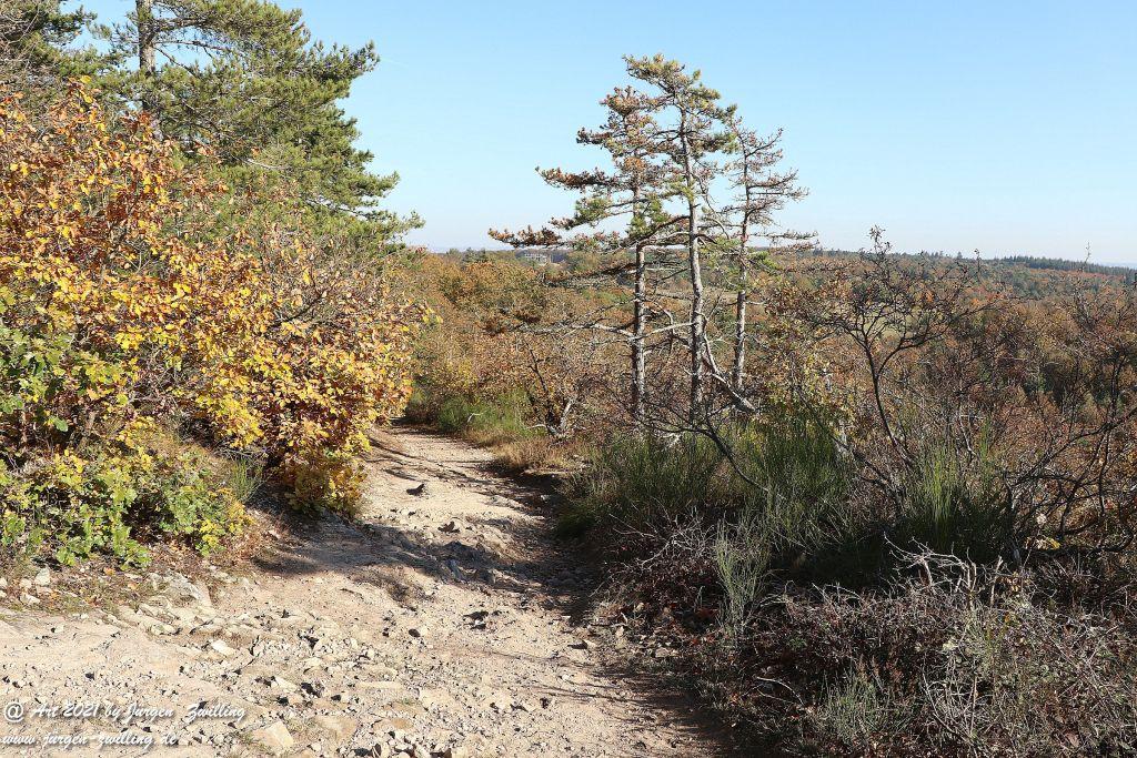 Philosophische Bildwanderung Hackenheim - Rheingrafenstein - Hackenheim - Rheinhessen - Nahe