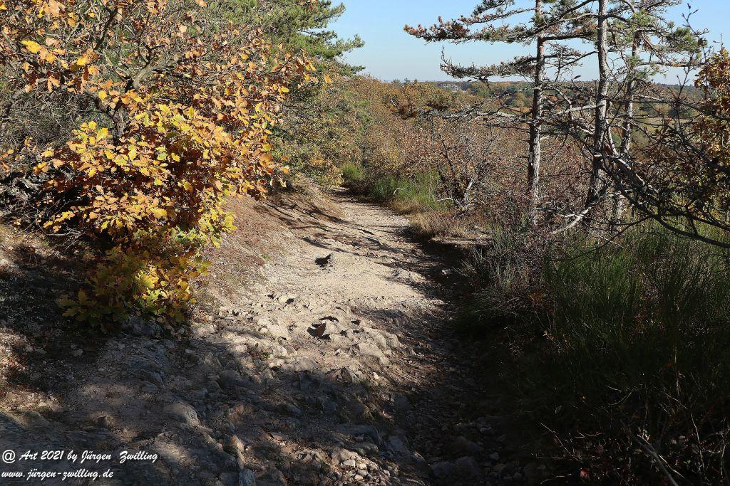 Philosophische Bildwanderung Hackenheim - Rheingrafenstein - Hackenheim - Rheinhessen - Nahe