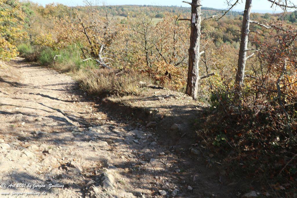 Philosophische Bildwanderung Hackenheim - Rheingrafenstein - Hackenheim - Rheinhessen - Nahe